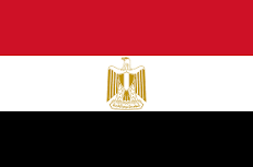 candidats employé travailleurs spécialisés egyptiens